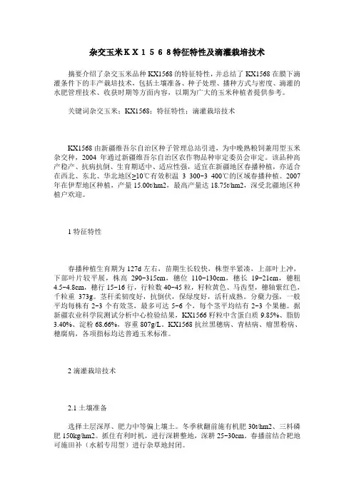 杂交玉米KX1568特征特性及滴灌栽培技术