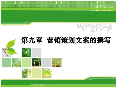 营销策划文案的撰写PPT课件