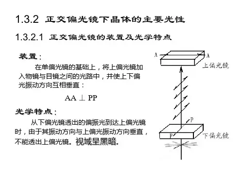正交偏光