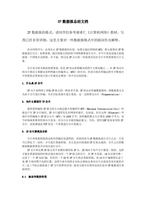 IP数据报总结文档