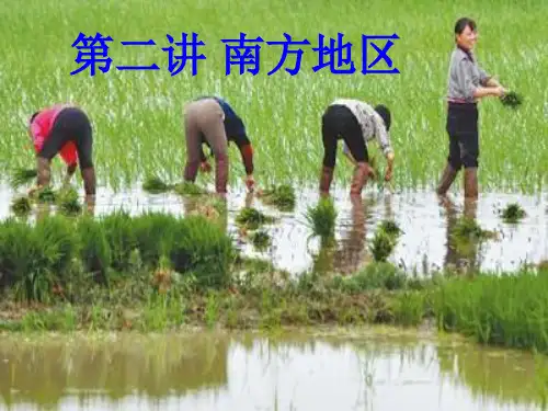 中国地理南方地区(共39张PPT)精选课件