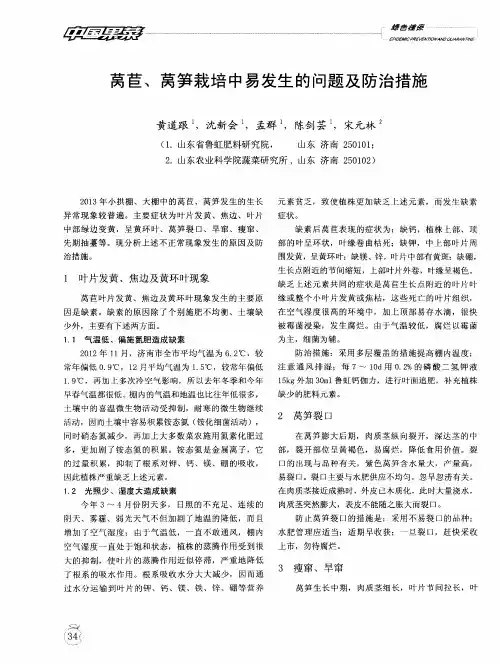莴苣、莴笋栽培中易发生的问题及防治措施