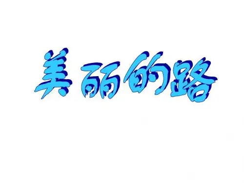 美丽的路