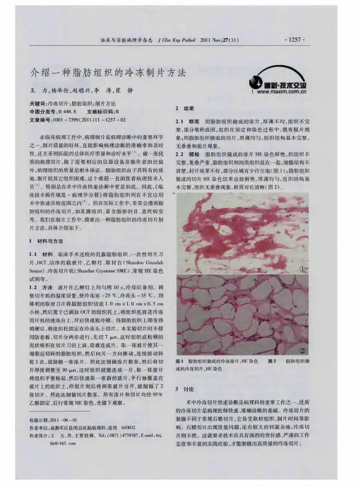 介绍一种脂肪组织的冷冻制片方法