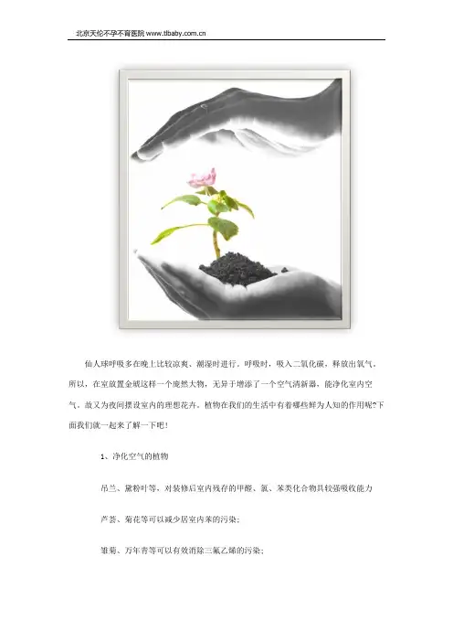 植物对室内空气的作用