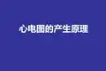 心电图产生原理解析