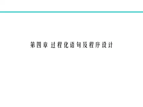 第4章过程化语句及程序设计