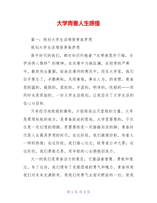 大学青春人生感悟