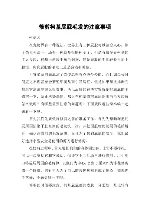 修剪柯基屁屁毛发的注意事项