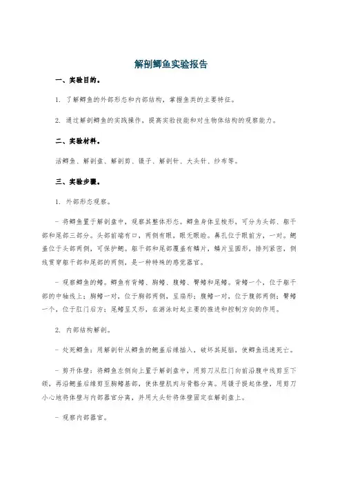解剖鲫鱼实验报告