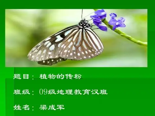 生态学