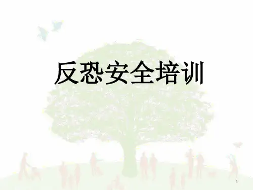 反恐安全培训ppt课件