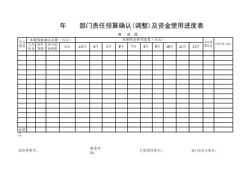 资金预算及使用进度表