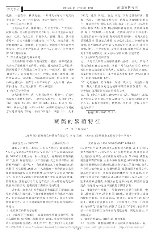藏獒的繁殖特征