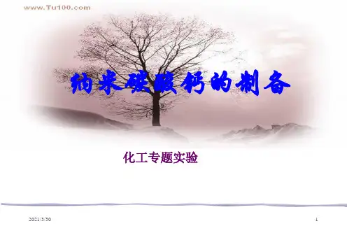 纳米碳酸钙的制备..