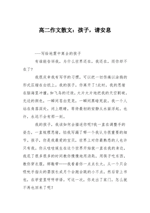 高二作文散文：孩子,请安息