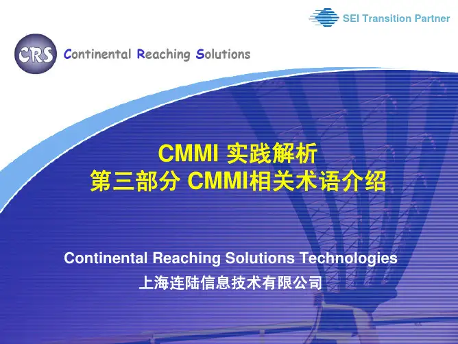 P03-CMMI实践解析-CMMI相关术语介绍