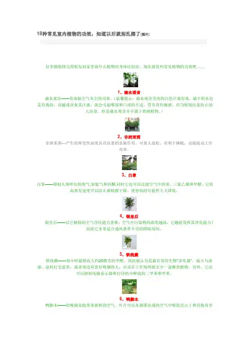 18种常见室内植物的功效