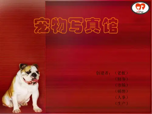 大学创新创业课程PPT