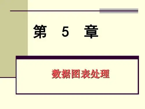 Excel数据图表处理-PPT精品文档