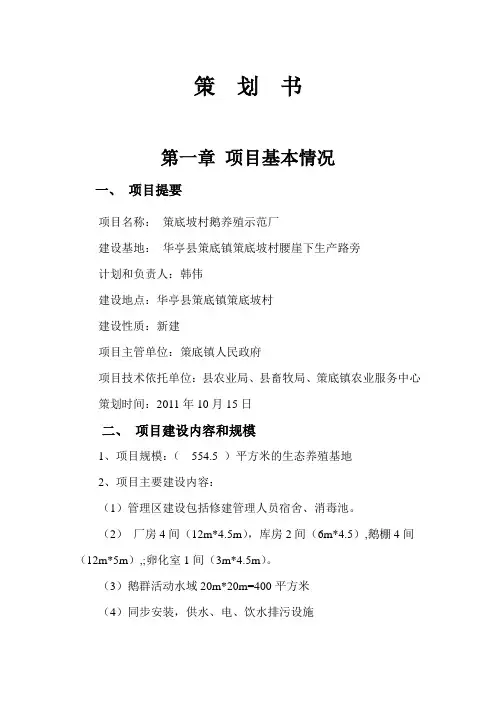 创业项目计划书 2