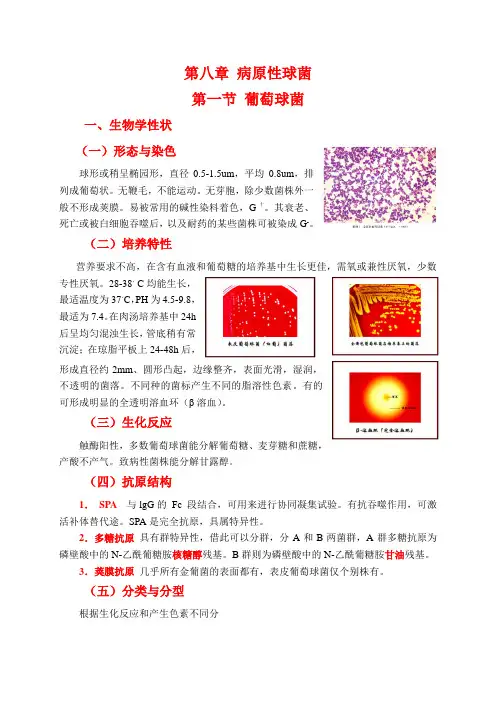 第八章 教案