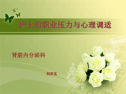 护士的职业压力 ppt课件