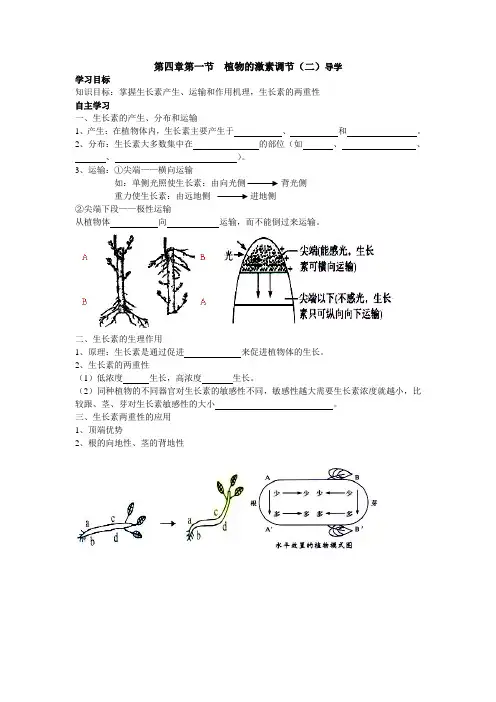 第四章第一节 植物的激素调节(第二课时)
