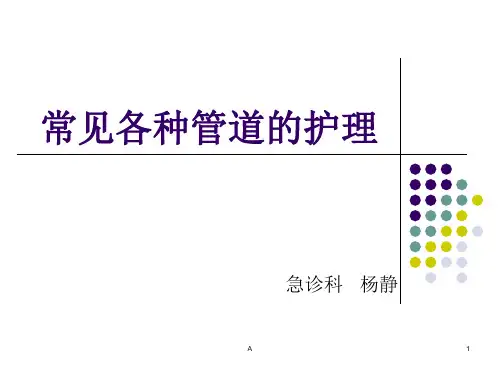 常见各种管道的护理12231