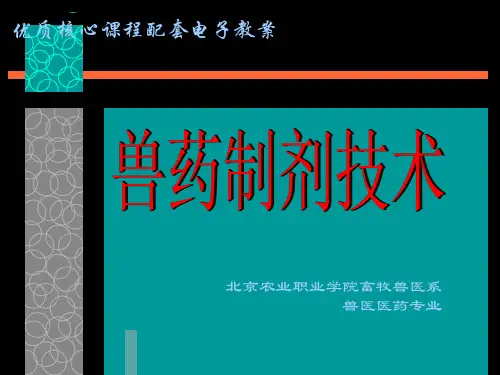 项目2颗粒剂讲义