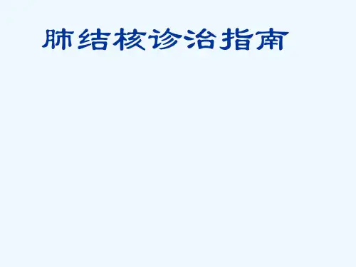 肺结核诊治指南