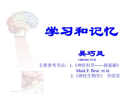 学习和记忆