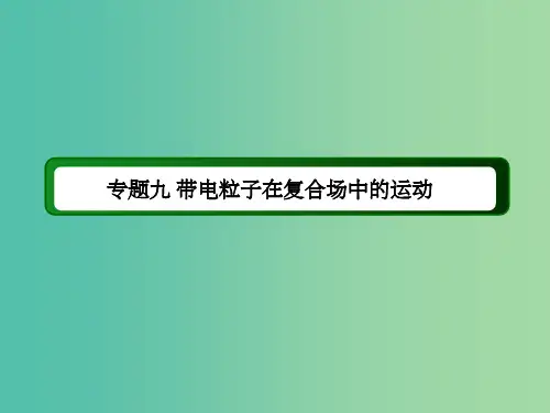高考物理二轮复习 专题九 带电粒子在复合场中的运动课件 新人教版