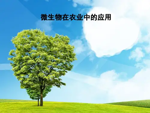 微生物在农业中的应用全解