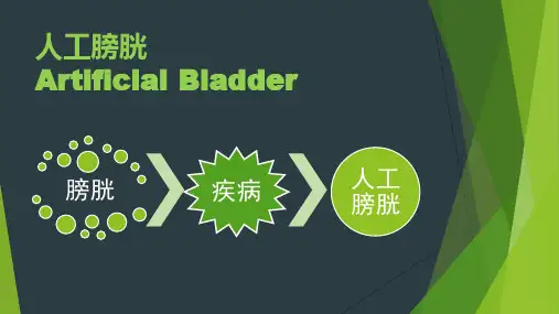人工膀胱