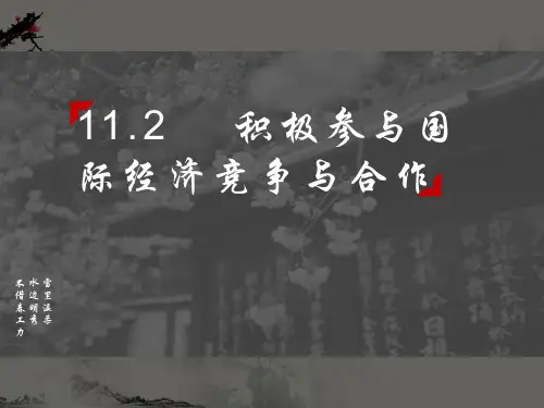 人教版_高中政治必修一积极参与国际经济竞争与合作2PPT