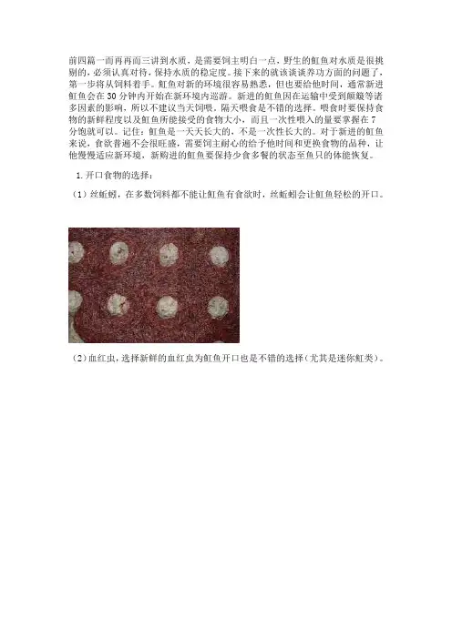 魟鱼饲养心得基础篇-正确对待魟鱼的饮食习惯和食物的营养结构-魟鱼手札 2