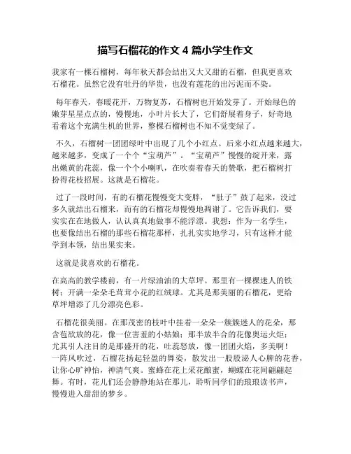 描写石榴花的作文4篇小学生作文