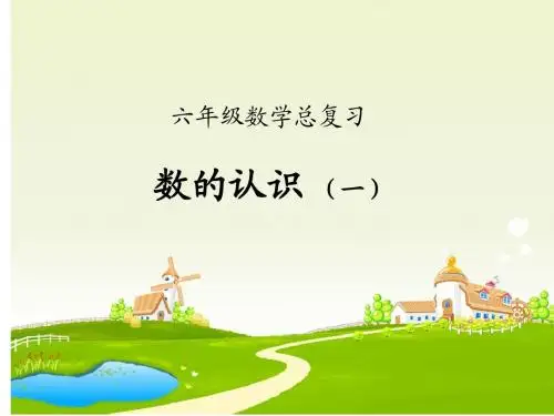 六年级数学总复习数的认识[1] 2