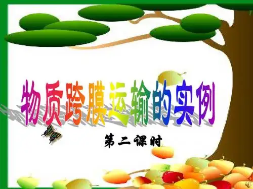 物质跨膜运输的实例(第二课时)