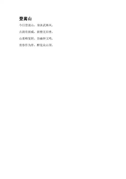 登嵩山