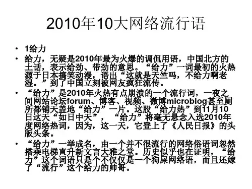 20102010年10大网络流行语
