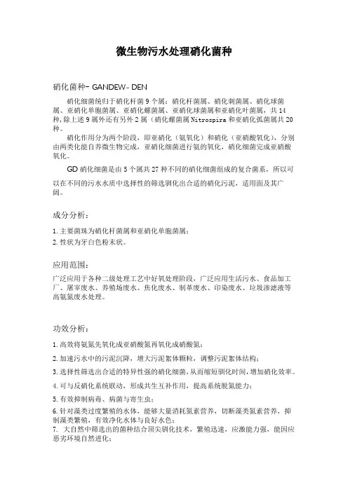 污水处理微生物硝化菌种