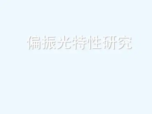 偏振光特性研究