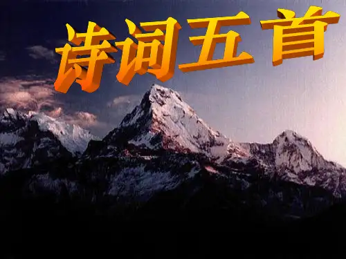 25诗词五首