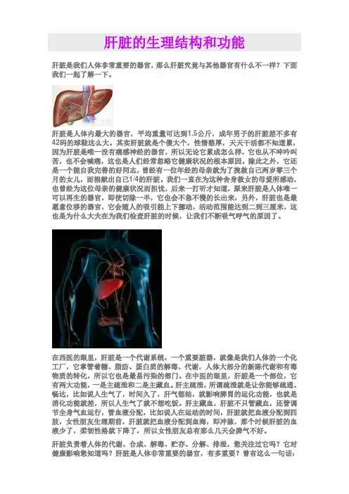 肝脏的生理结构和功能