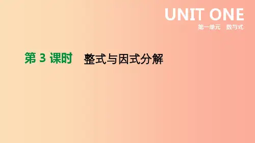 北京市2019年中考数学总复习第一单元数与式第03课时整式与因式分解课件