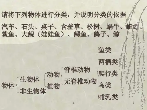 七年级科学无脊椎动物