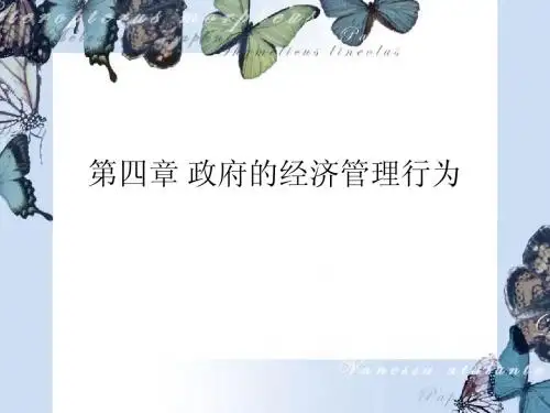 政府经济学第四章 政府的经济管理行为