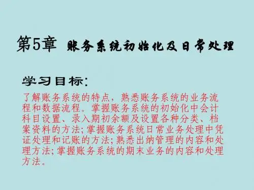 第4章 会计核算软件的操作要求(5)